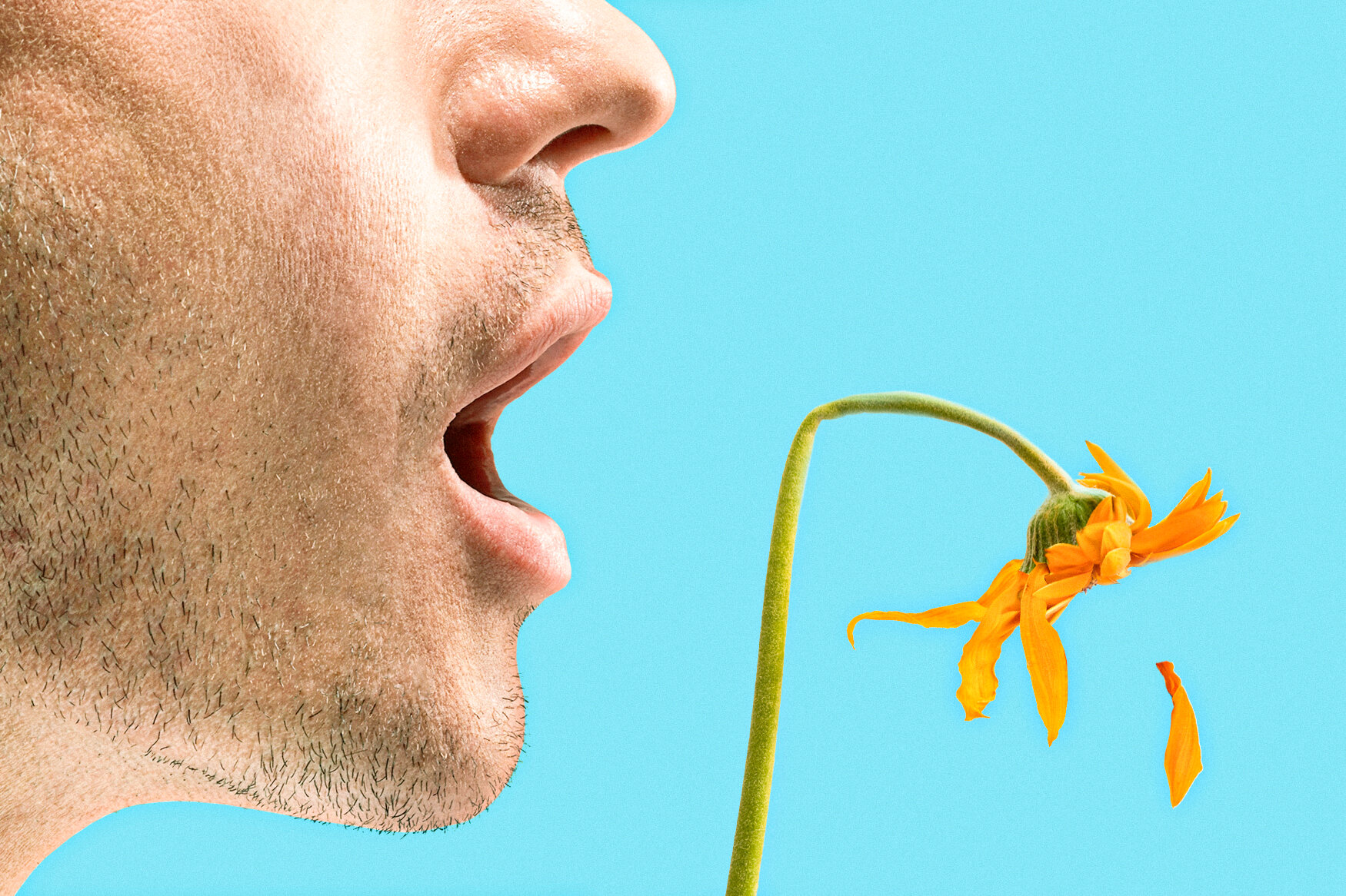 برای رفع بوی بد دهان چیکار باید بکنیم؟