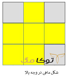 فرمول ماهی مکعب روبیک