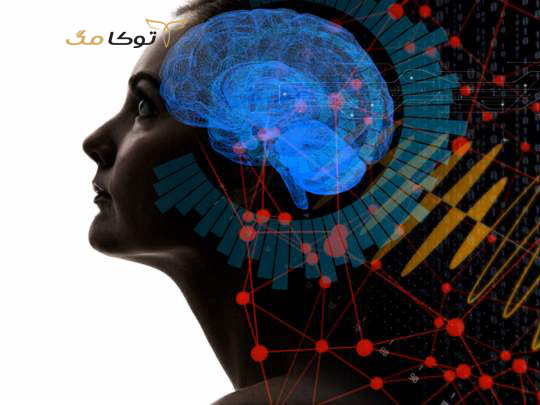 تست ای کیو براای تمام رده سنی