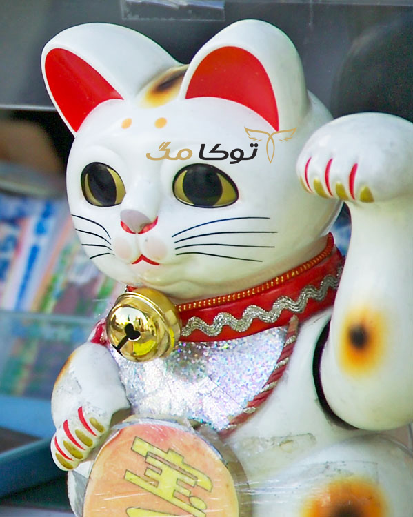 عجیب‌ترین نماد خوش شانسی در جهان