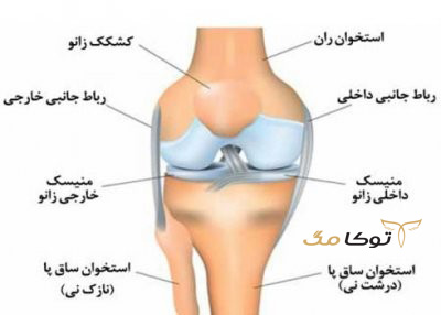رباط صلیبی زانو چه‌گونه لطمه می‌بیند؟
