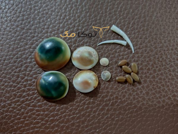 عجیب‌ترین نماد خوش شانسی در جهان