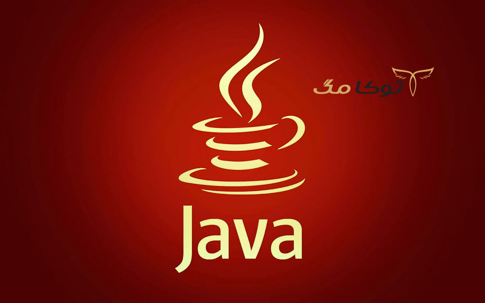 بهترین زبان‌ های برنامه نویسی در دنیا