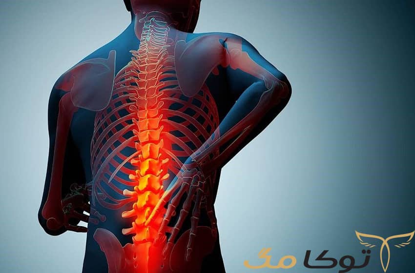 بررسی 10 مورد از خواص بادام هندی برای بانوان