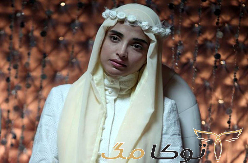 حضور در اولین سریال و رسیدن به اوج شهرت