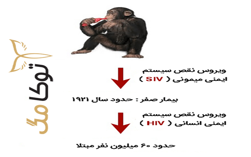 علت بیماری HIV