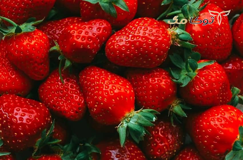 توت‌ها در پیشگیری از آلزایمر
