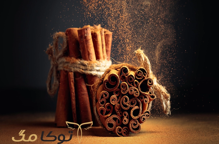 خواص دارچین
