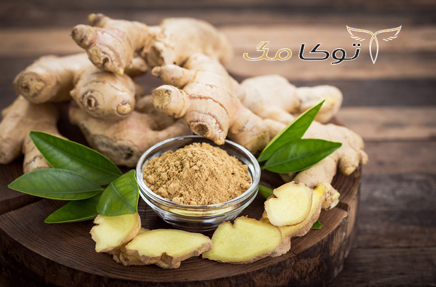 زنجبیل، موثر در چربی سوزی