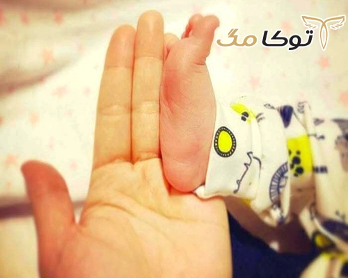 بیوگرافی فرناز رهنما