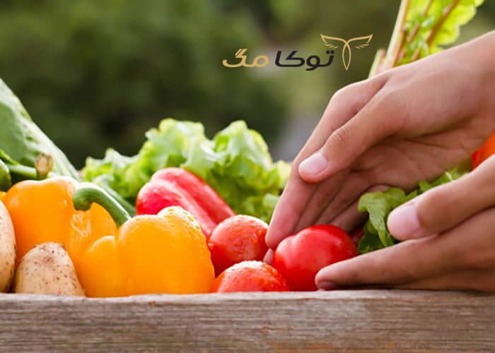 میوه‌ها و سبزیجاتدر پیشگیری از آلزایمر