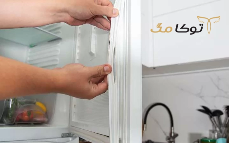 مزایای تمیز کردن منظم نوار یا لاستیک درب یخچال
