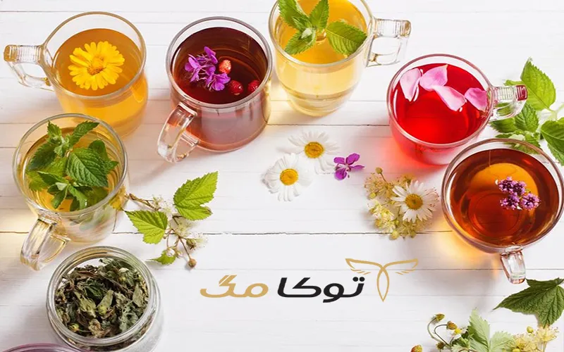 درمان میگرن با داروهای گیاهی در طب سنتی
