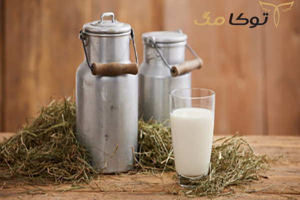 فواید شیر خام