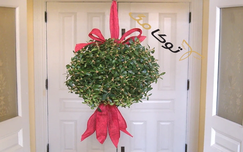 گیاه میسلتوMistletoe جشن کریسمس