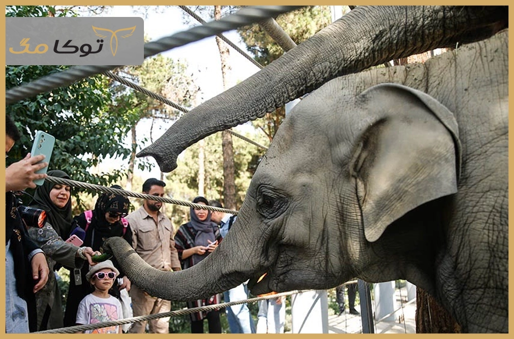 باغ‌وحش ارم تهران