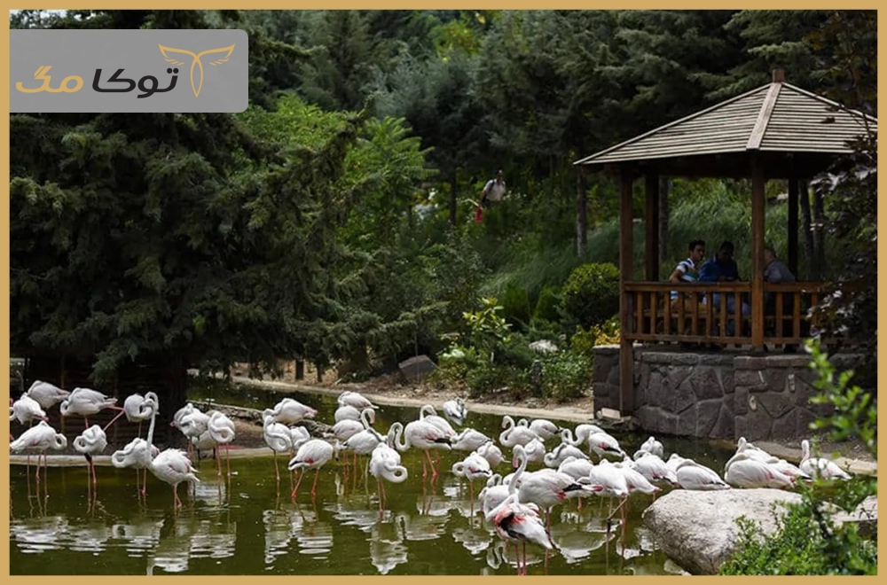 باغ پرندگان تهران