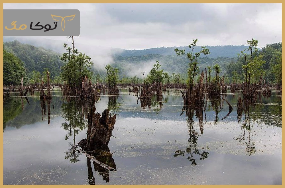 تالاب ارواح – مازندران