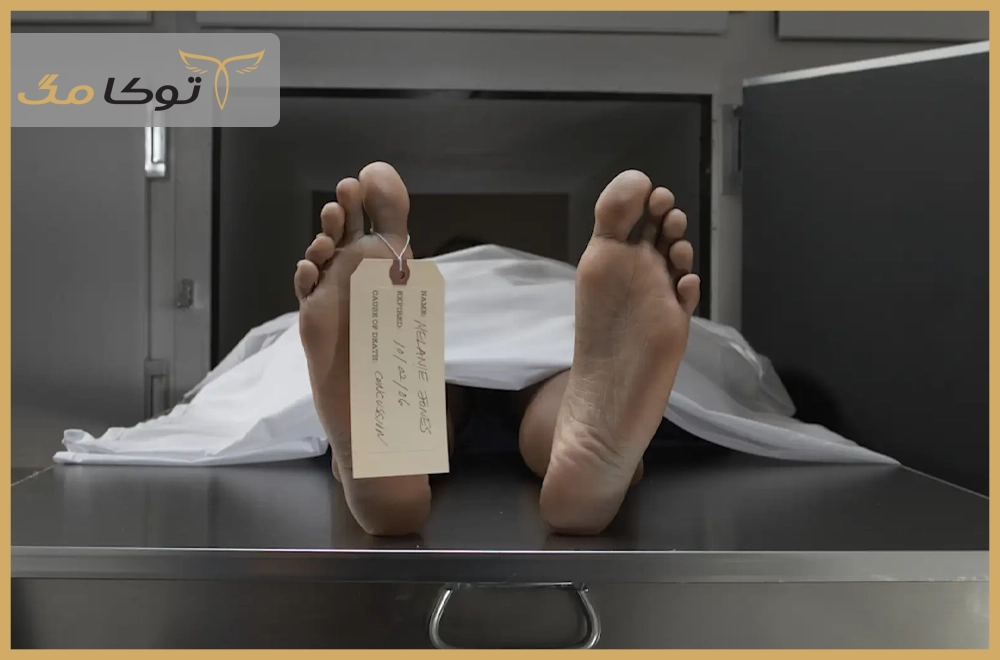 آنچه پس از مرگ رخ می‌دهد