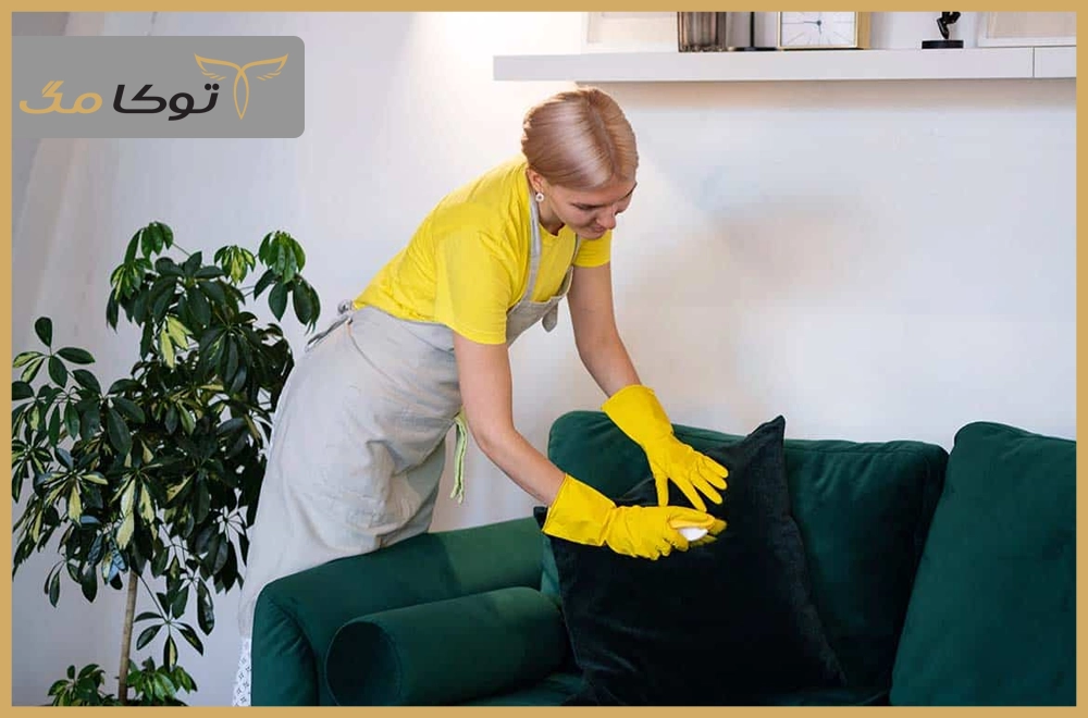 تمیز کردن مبلمان