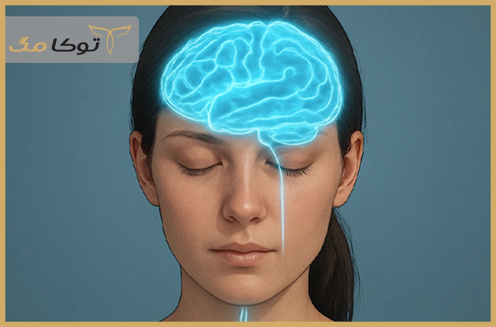 مغز انسان چند درصد از بدن را تحت کنترل خود گرفته است