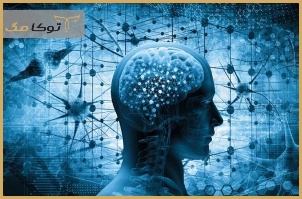 مغز چگونه کل بدن را کنترل میکند؟