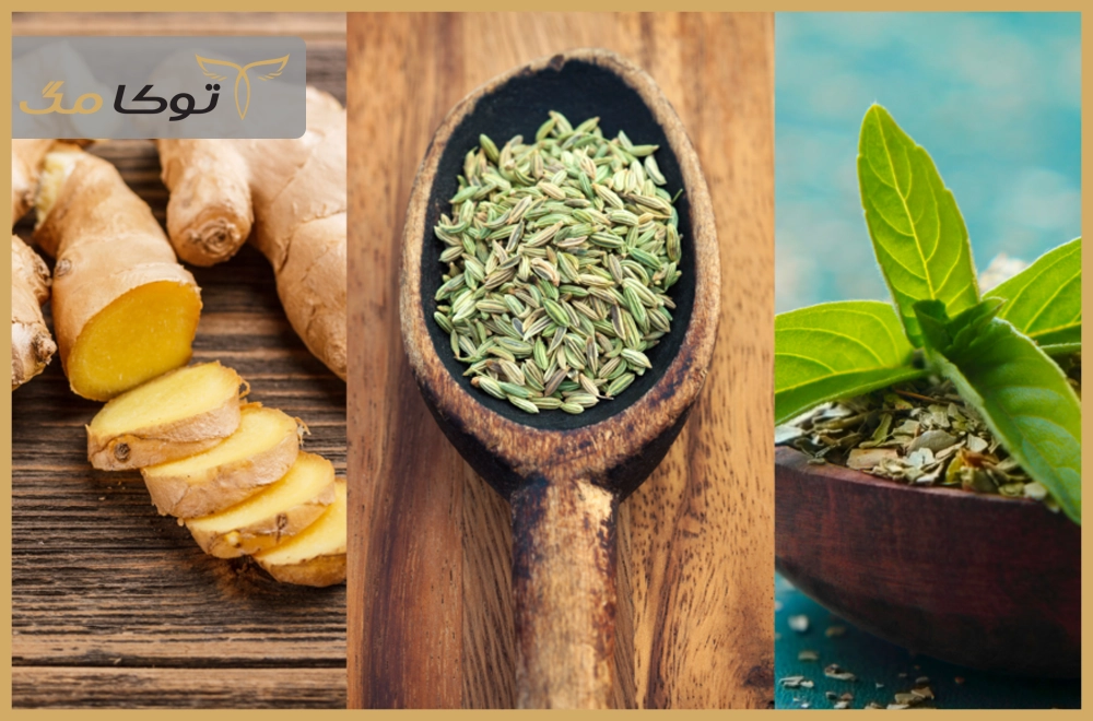 بهترین داروهای گیاهی برای درمان نفخ و سوءهاضمه