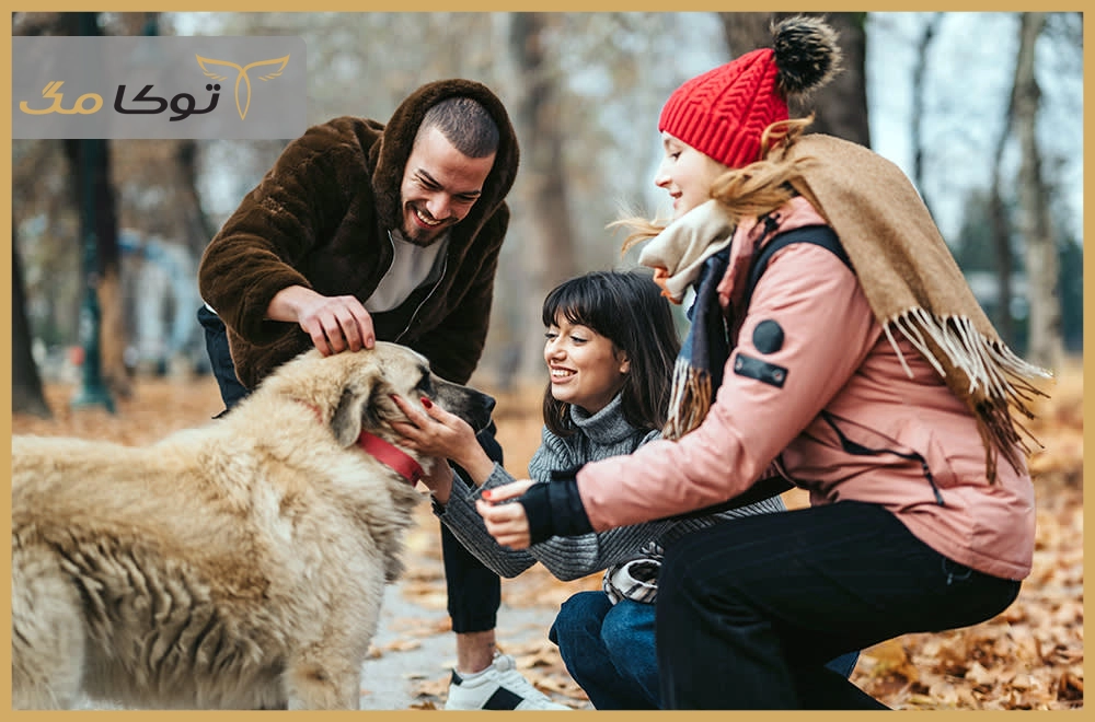 پارکها و فضاهای سبز مناسب حیوانات خانگی