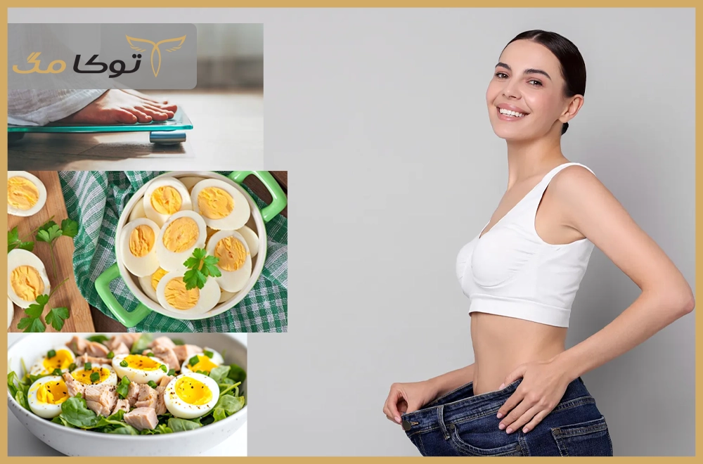 بهترین میان‌وعده‌های رژیمی 